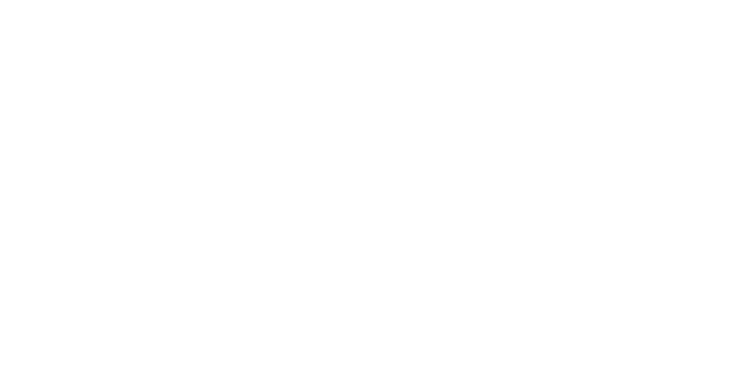 logo (2)